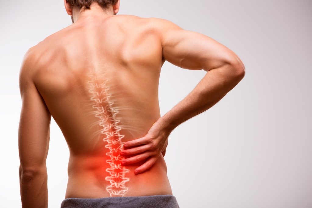 Image shows back of a man with the spine illustrated showcasing low back pain.