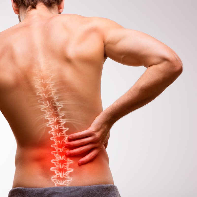 Image shows back of a man with the spine illustrated showcasing low back pain.