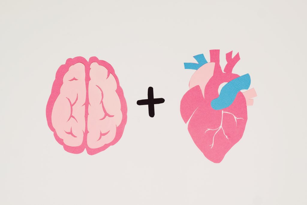 Illustration of improved heart and brain health which are benefits of cardio exercise.