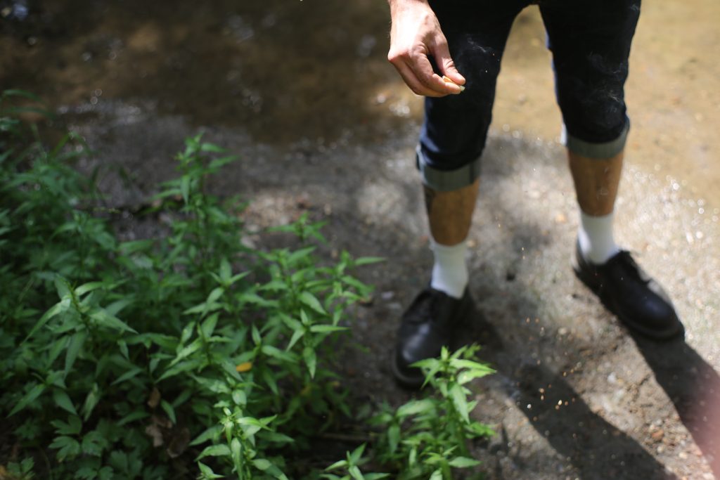 A person is sprinkling the plants in their garden with Epsom salt