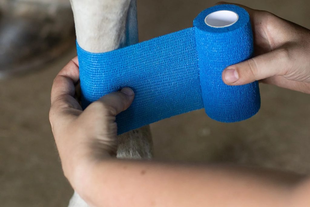 A person is wrapping blue cohesive bandage around a dog's leg for support